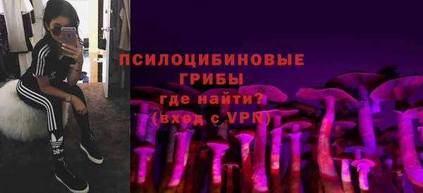 альфа пвп Бородино