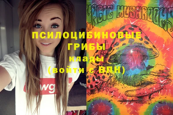 альфа пвп Бородино