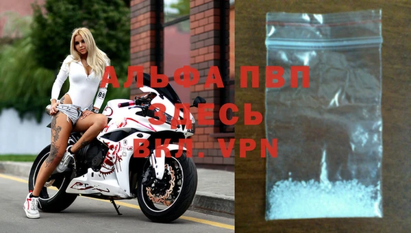 альфа пвп Бородино